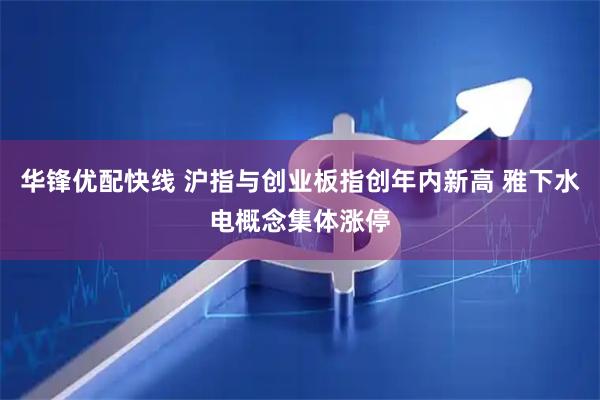 华锋优配快线 沪指与创业板指创年内新高 雅下水电概念集体涨停