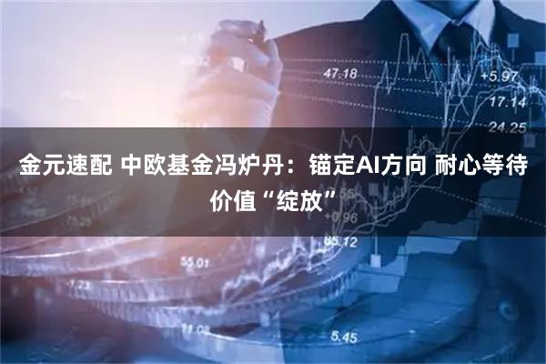 金元速配 中欧基金冯炉丹：锚定AI方向 耐心等待价值“绽放”