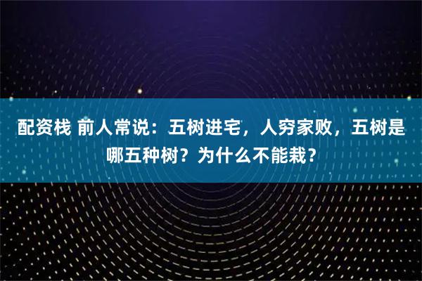 配资栈 前人常说：五树进宅，人穷家败，五树是哪五种树？为什么不能栽？